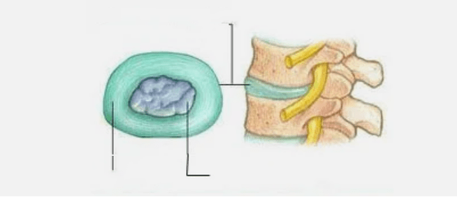 The nature of joints